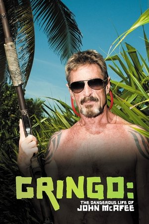 Gringo: The Dangerous Life of John McAfee 2016