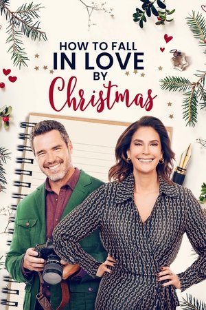 How to Fall in Love by Christmas 2023