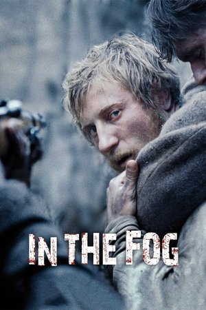 In the Fog 2012