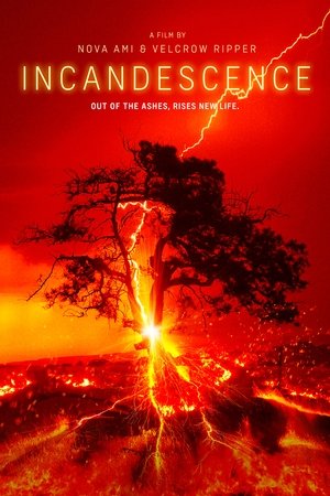 Incandescence 2024