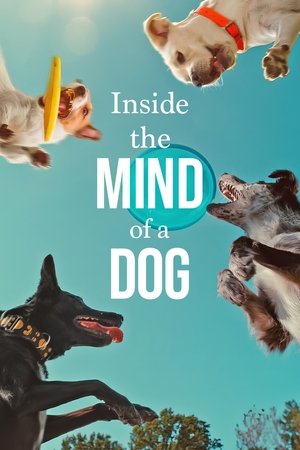 Inside the Mind of a Dog 2024