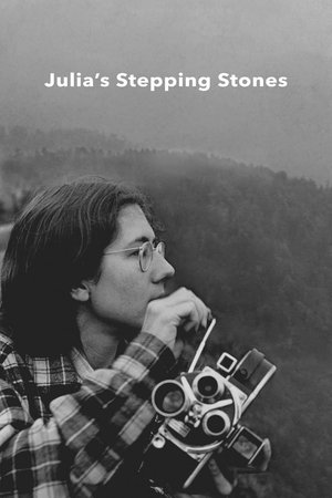 Julia's Stepping Stones 2024