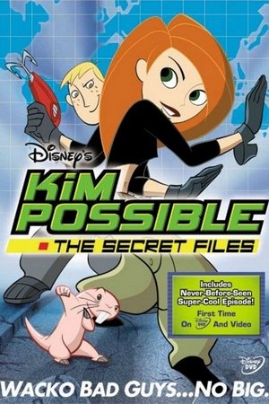 Kim Possible: The Secret Files 2003