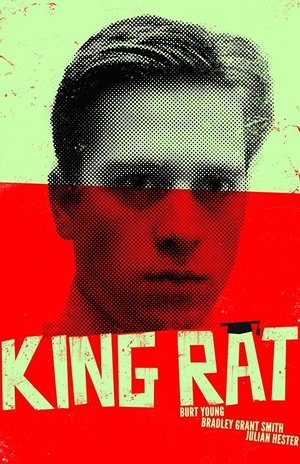 King Rat 2017
