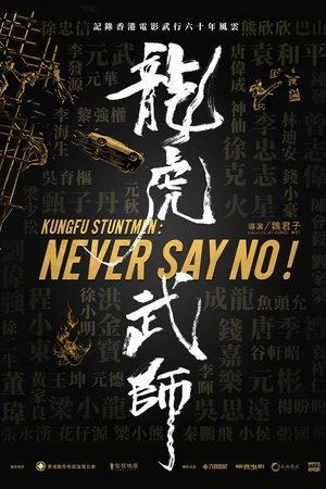 Kung Fu Stuntmen 2021