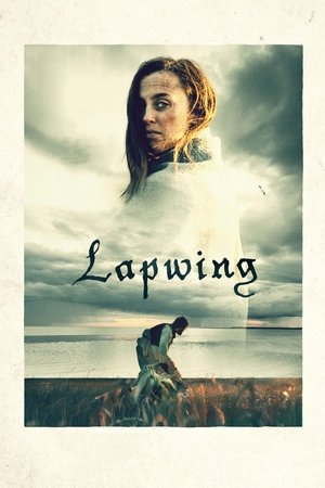 Lapwing 2021