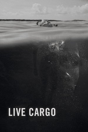 Live Cargo 2016