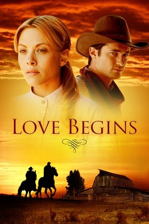 Love Begins 2011