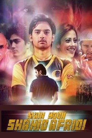 Main Hoon Shahid Afridi 2013