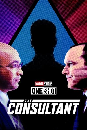 Marvel One-Shot: The Consultant 2011