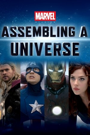 Marvel Studios: Assembling a Universe 2014