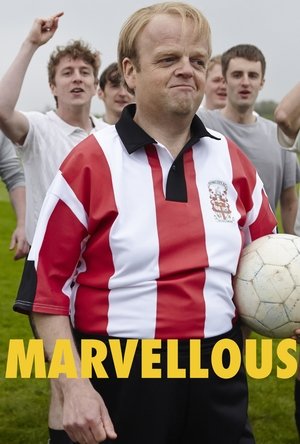 Marvellous 2015