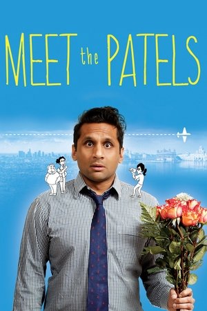 Meet the Patels 2015