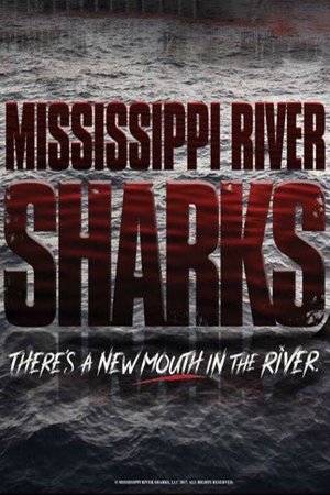 Mississippi River Sharks 2017