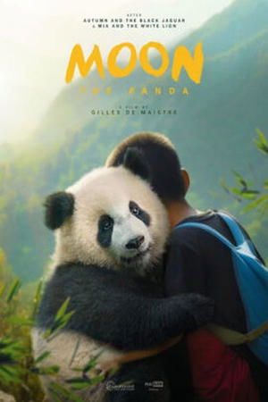 Moon The Panda 2025