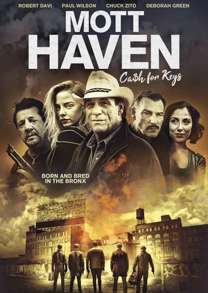 Mott Haven 2021