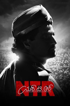 N.T.R: Kathanayakudu 2019
