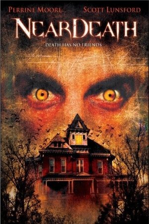 Near Death 2004