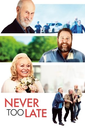 Never Too Late 2020