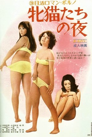 Night of the Felines 1972