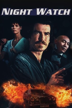 Night Watch 2004