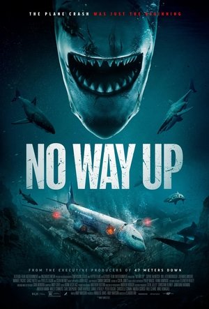 No Way Up 2024