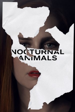 Nocturnal Animals 2016