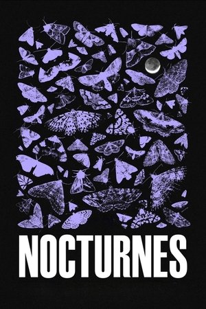 Nocturnes 2024