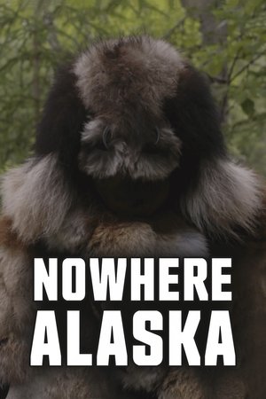 Nowhere Alaska 2020