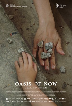Oasis of Now 2023