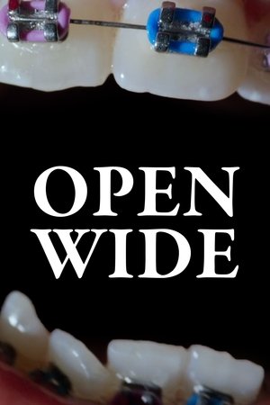 Open Wide 2024
