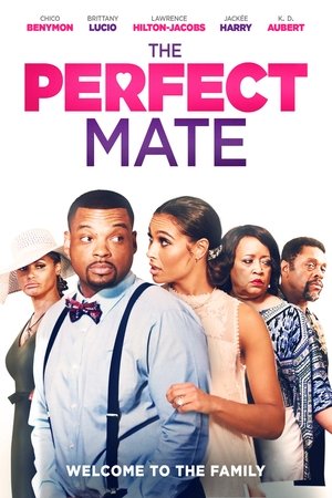 Perfect Mate 2020