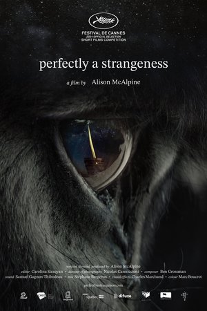 Perfectly A Strangeness 2024