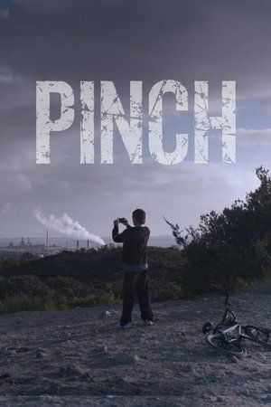 Pinch 2015