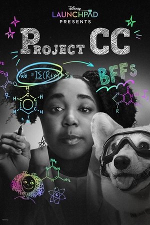 Project CC 2023