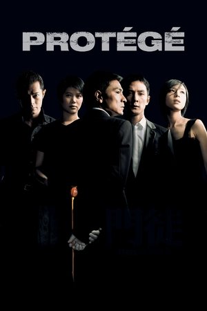 Protégé 2007