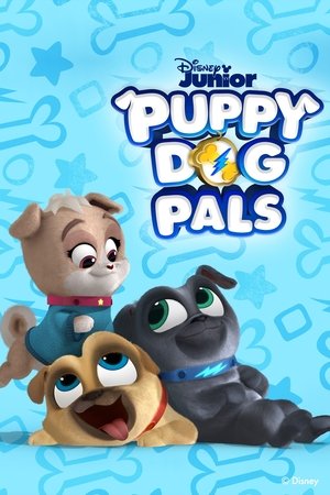 Puppy Dog Pals 2017