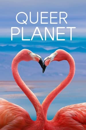 Queer Planet 2023