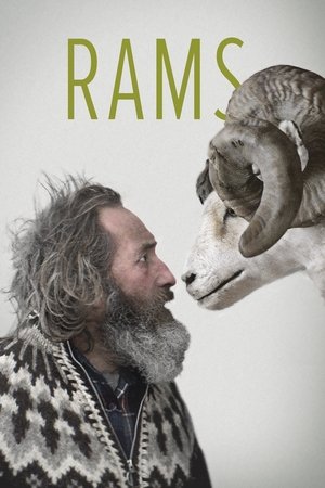 Rams 2015