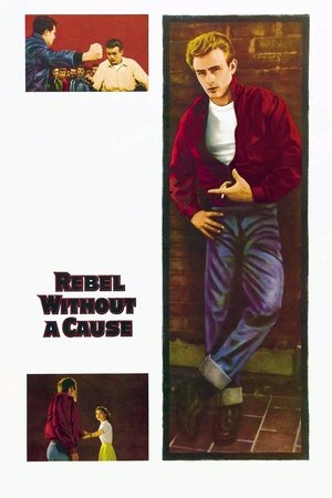 Rebel Without a Cause 1955