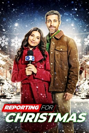 Reporting for Christmas 2023