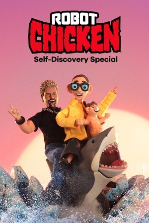 Robot Chicken: Self-Discovery Special 2025
