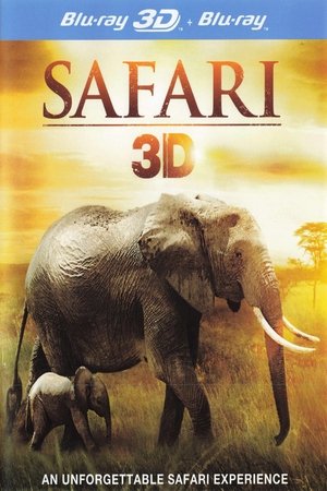 Safari: Africa 2011