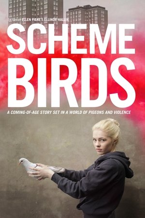 Scheme Birds 2019