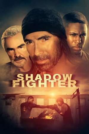 Shadow Fighter 2017