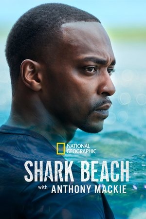 Shark Beach with Anthony Mackie 2024