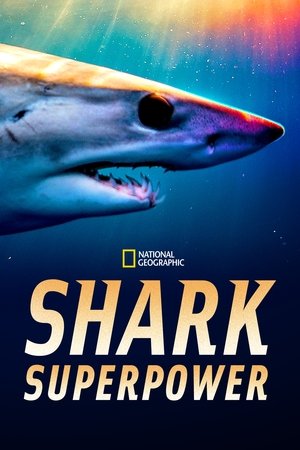 Shark Superpower 2022
