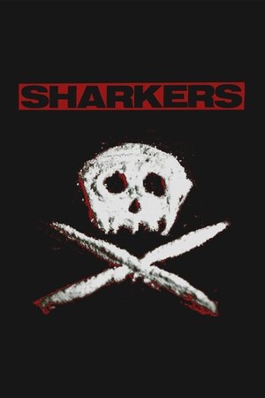 Sharkers 2024