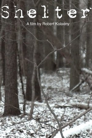 Shelter 2010