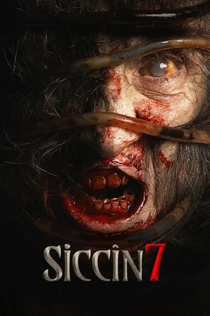 Sijjin 7 2024